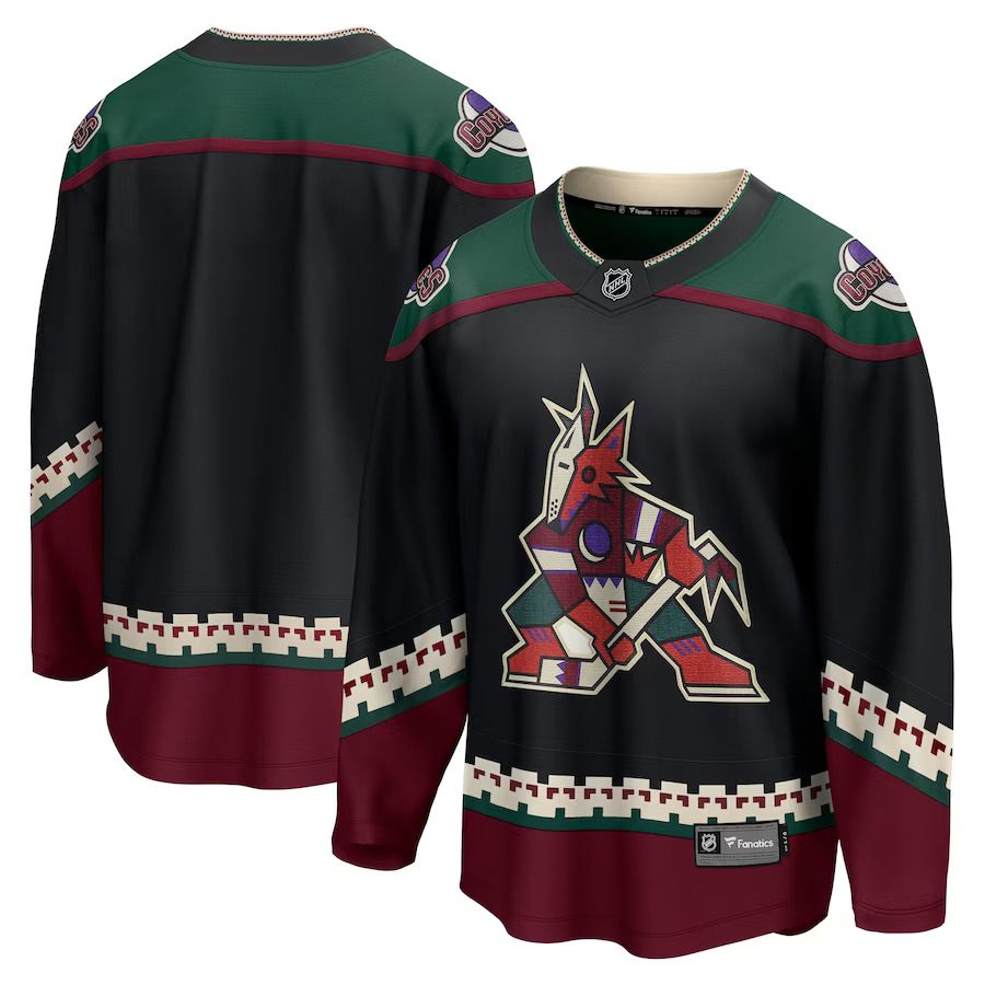 Men Arizona Coyotes Fanatics Branded Black Home Breakaway NHL Jersey->customized nhl jersey->Custom Jersey